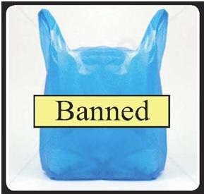 Banned Bag