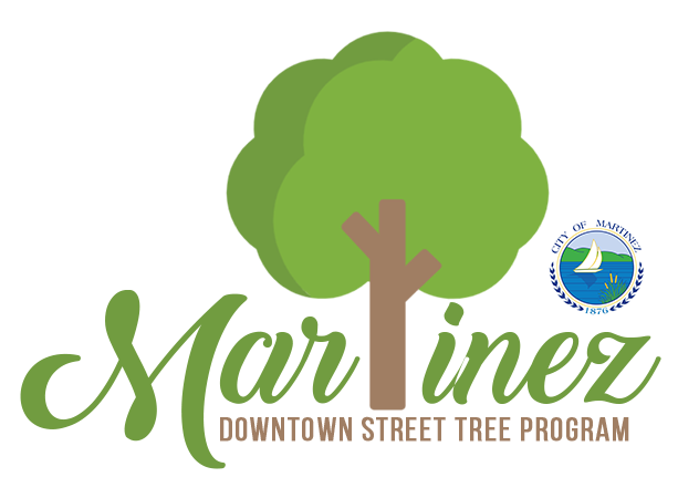 Downtown Street Tree Program
