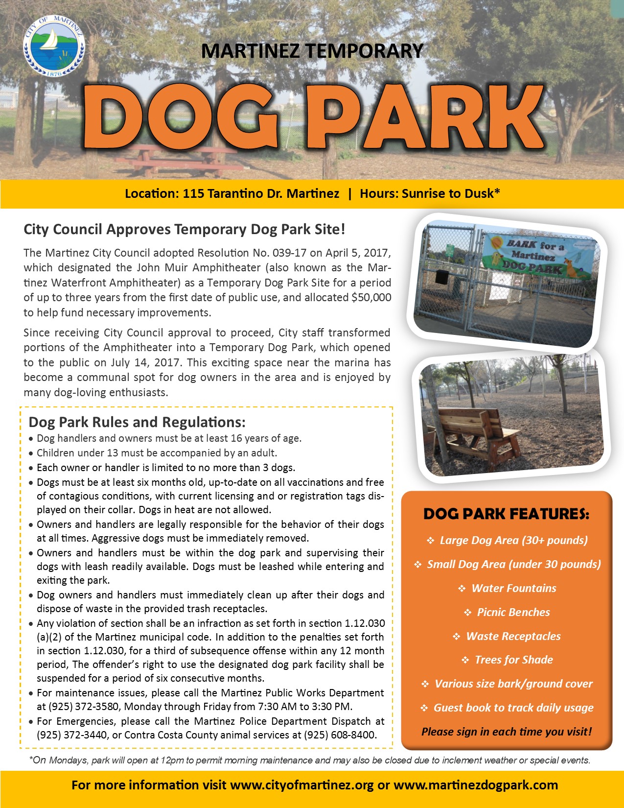 Dog Park Flyer